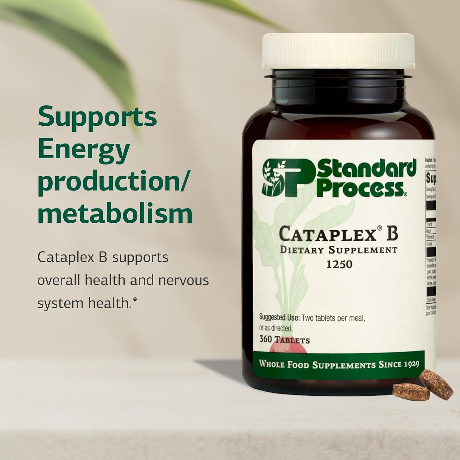 Standard Process Cataplex B - Nervous System & Heart Health Supplement - Contains B Vitamins for Energy Support - Supports Energy Metabolism - Non-Dairy & Non-Soy - 180 Tablets (90 Servings)