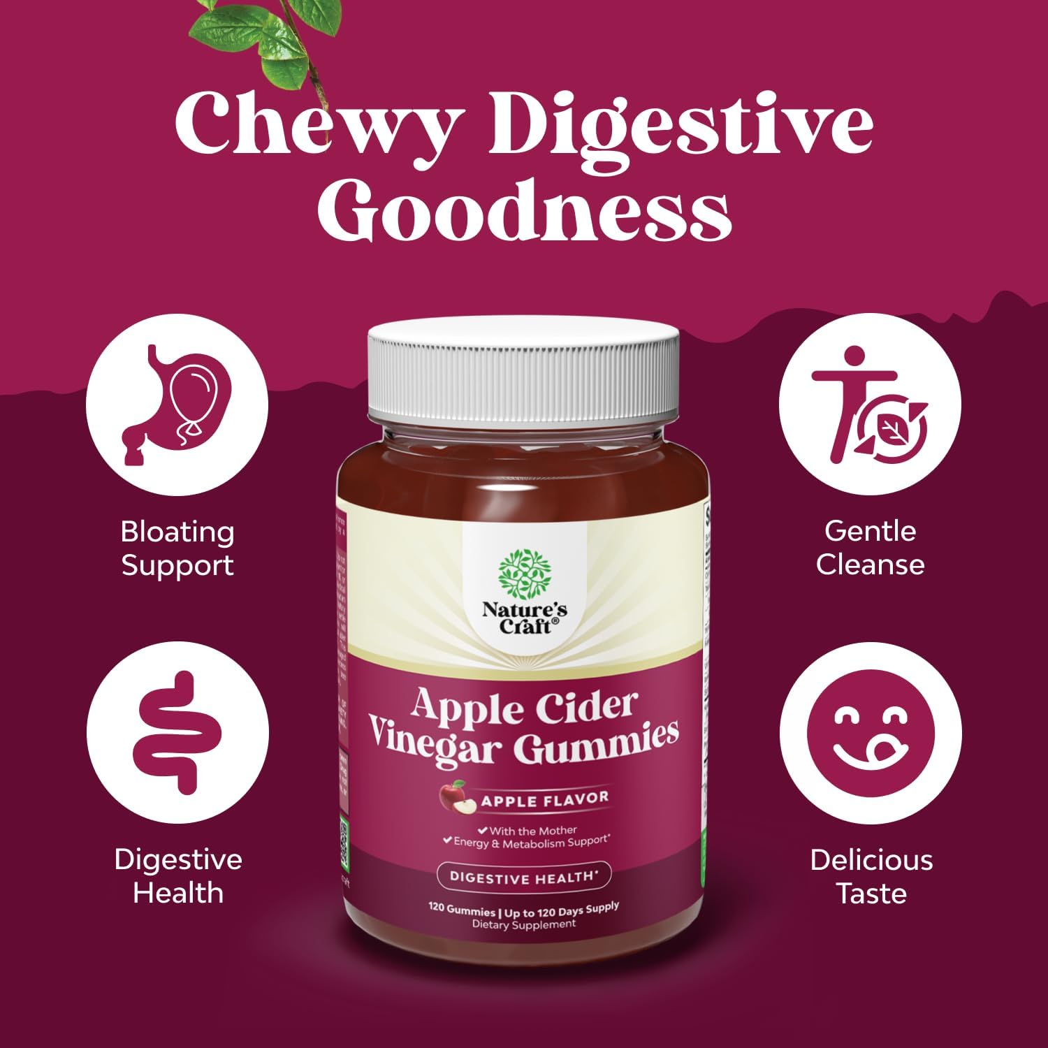 Apple Cider Vinegar Gummies - Energy and Metabolic Support - 60 Count