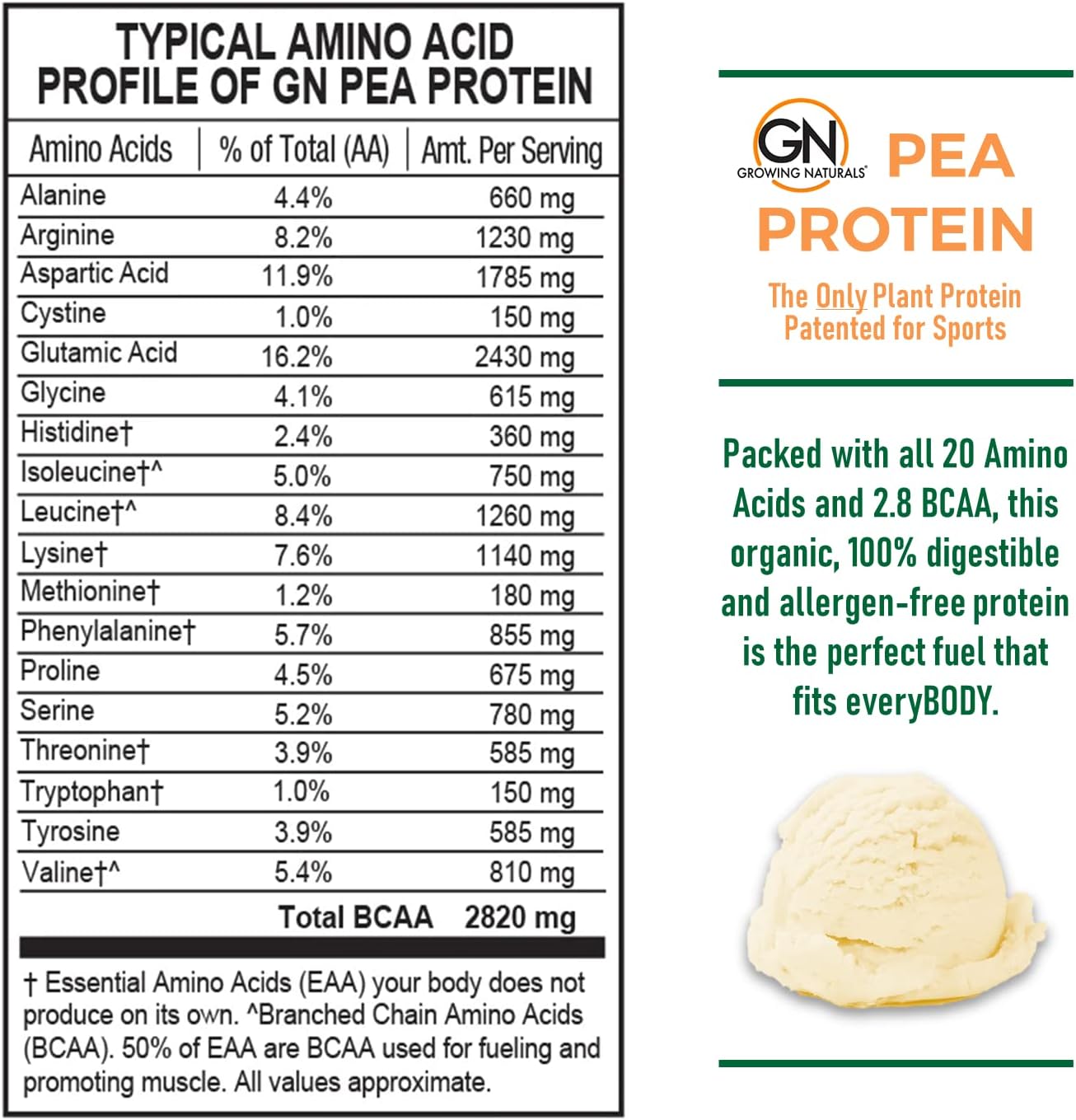 Raw Pea Protein Powder, Vegan Plant Based Protein, BCAA, Low-Carb, Low-Sugar, Chocolate Power, 1 Pound (Pack of 1)