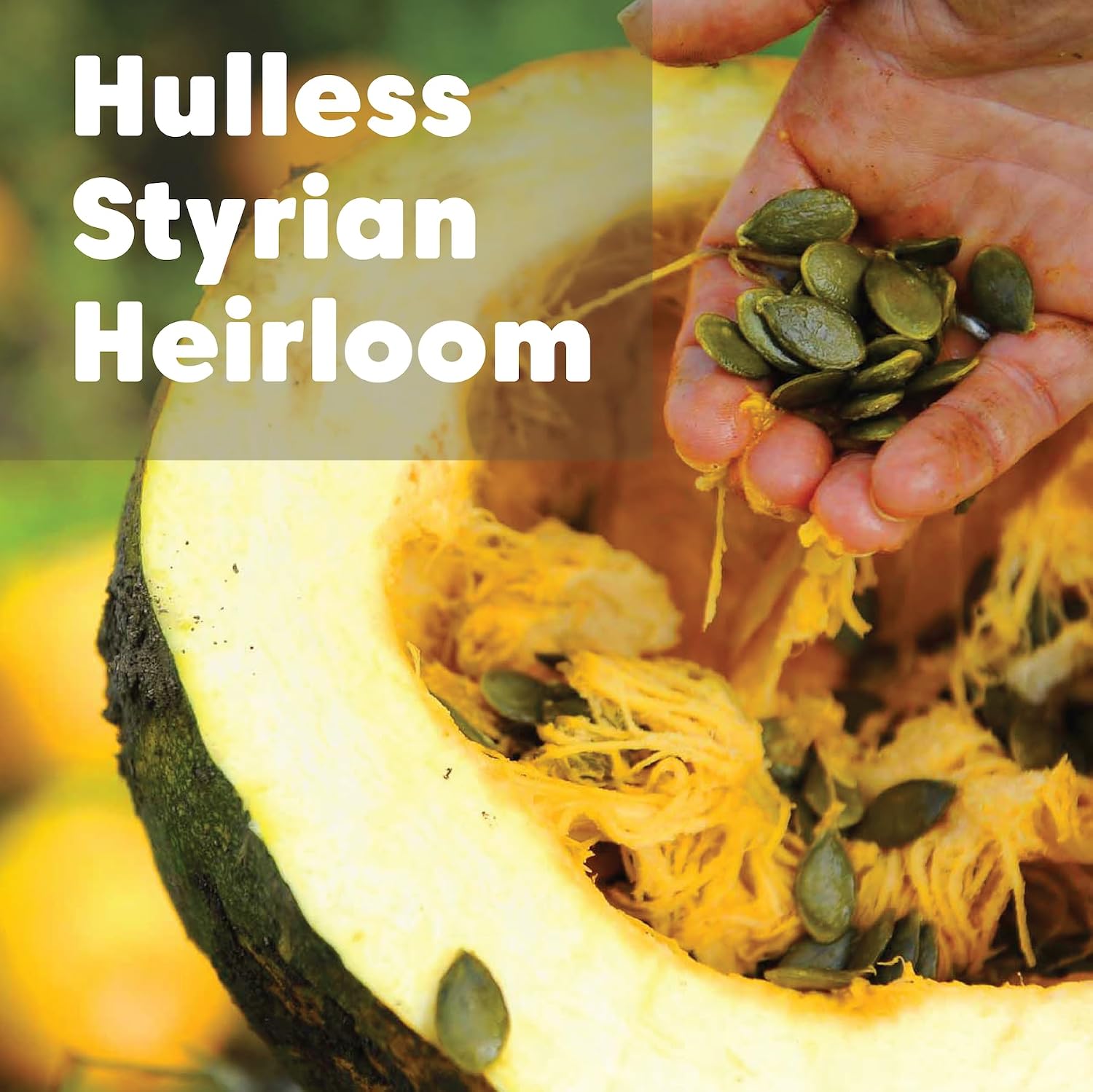 Wilderness Poets, Organic Heirloom Pumpkin Seeds - Styrian Variety, No Shells, Naturally Hulless. Unsalted, Bulk Size, Grown in Oregon, USA or Europe (32 Ounce - 2 Pound)