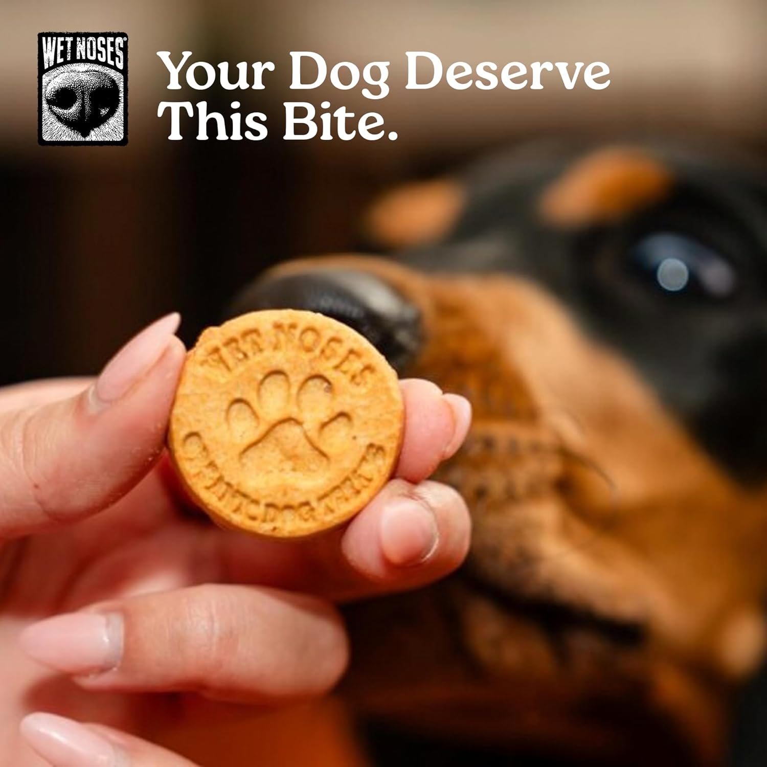 Wet Noses Organic Crunchy Dog Treats – All-Natural, Human-Grade, Non-GMO, Healthy Training & Delicious Snacks for Dogs