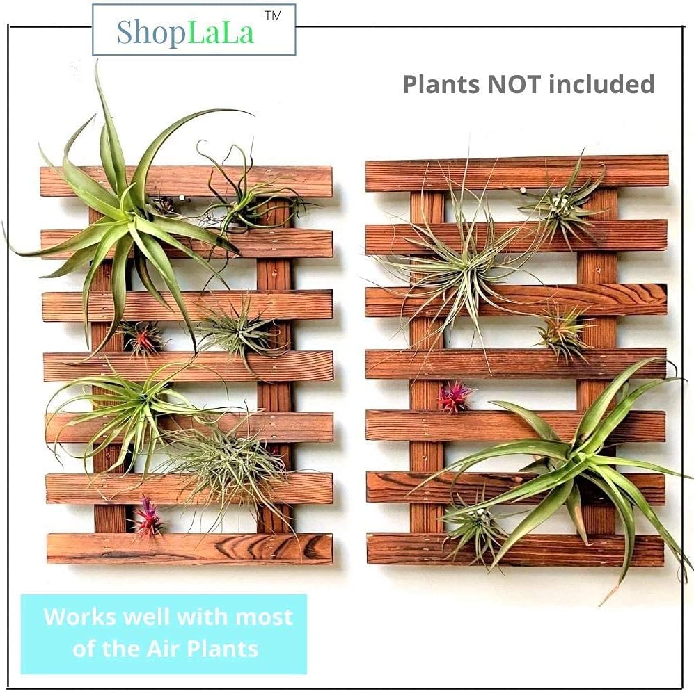 ShopLaLa Wall Planter (60cm, 2 Pack) Hanging Planters for Indoor Plants