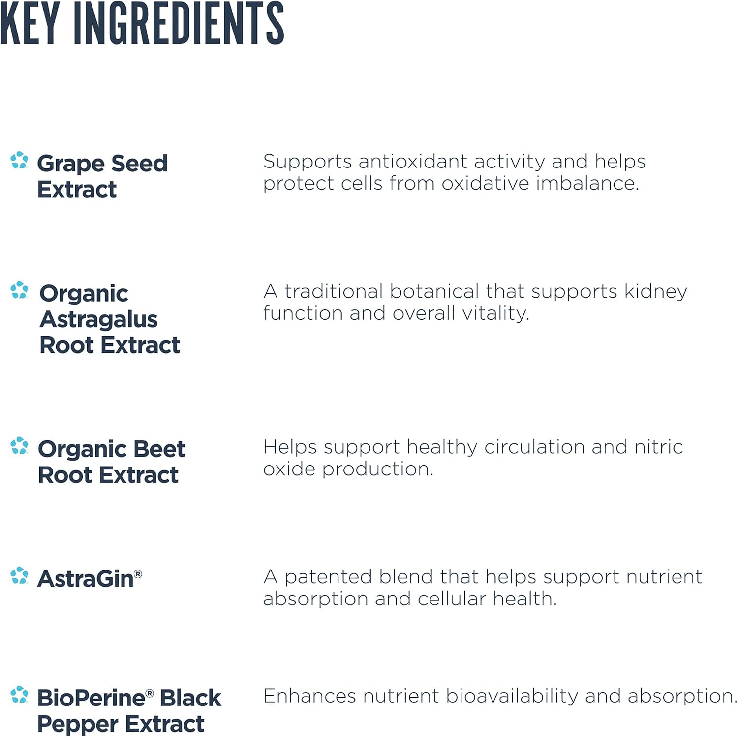 Revive MD Kidney Support Supplement for Men & Women – Kidney Cleanse & Detox Capsules for Overall Health & Function – Vegan-Friendly