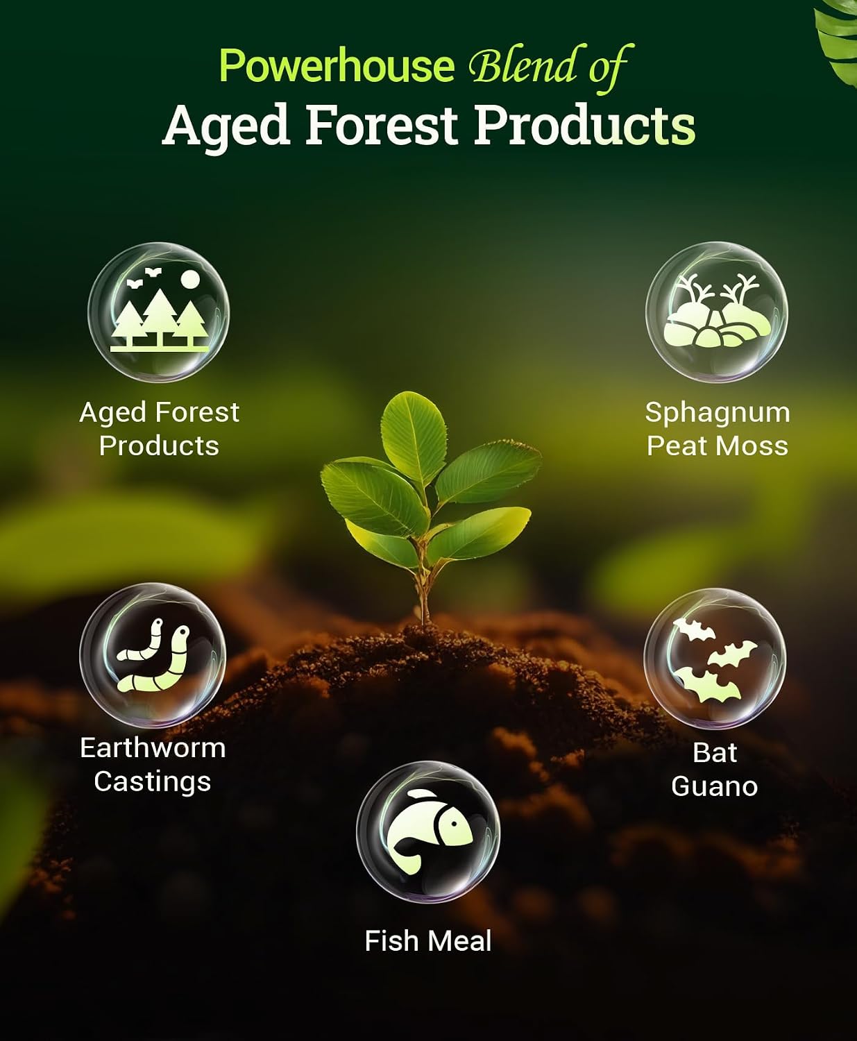 FoxFarm Ocean Forest Potting Soil for Container Gardens - Light, Aerated Texture with Fish Meal, Crab Meal, Earthworm Castings - Houseplant Potting Mix for Seedlings & Plant Starts - 4 x12 Quart