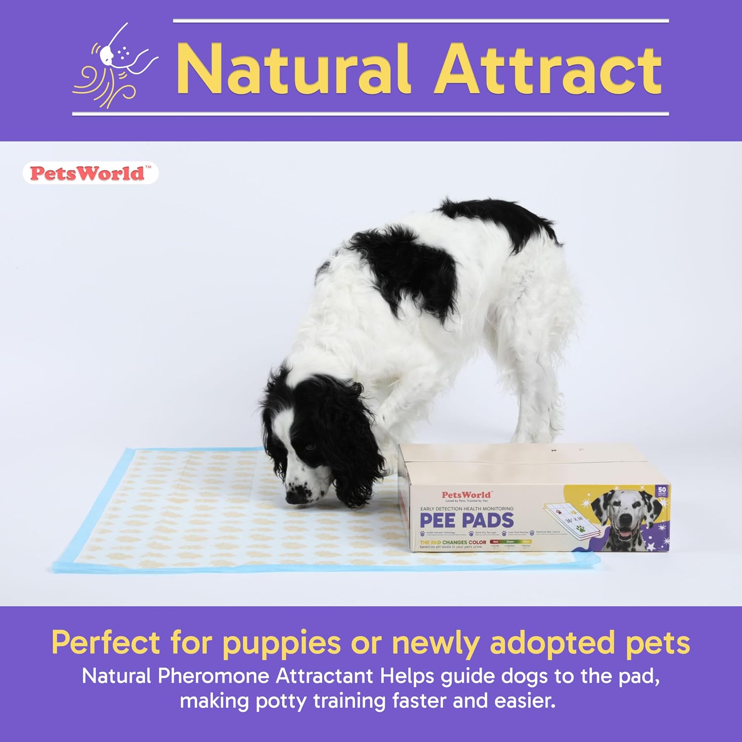 PetsWorld Enormous Dog Pee Pads 37"x54" 50 Count – XXXL Pet Pee Pads for Giant Dogs & Pets, Heavy Duty Leak-Proof Dog Training Pads, Super Absorbent Quick-Dry Potty Pads with Adhesive Tabs