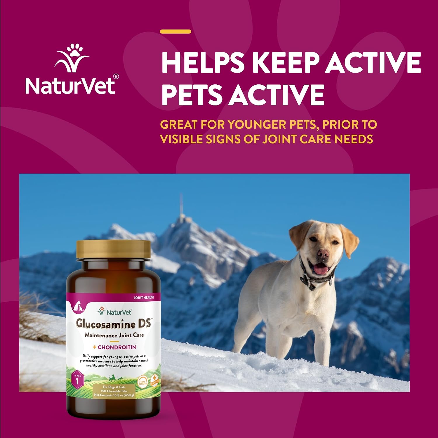 NaturVet – Glucosamine DS Plus - Level 2 Moderate Care – Supports Healthy Hip & Joint Function – Enhanced with Glucosamine, MSM & Chondroitin – for Dogs & Cats–70 Soft Chews