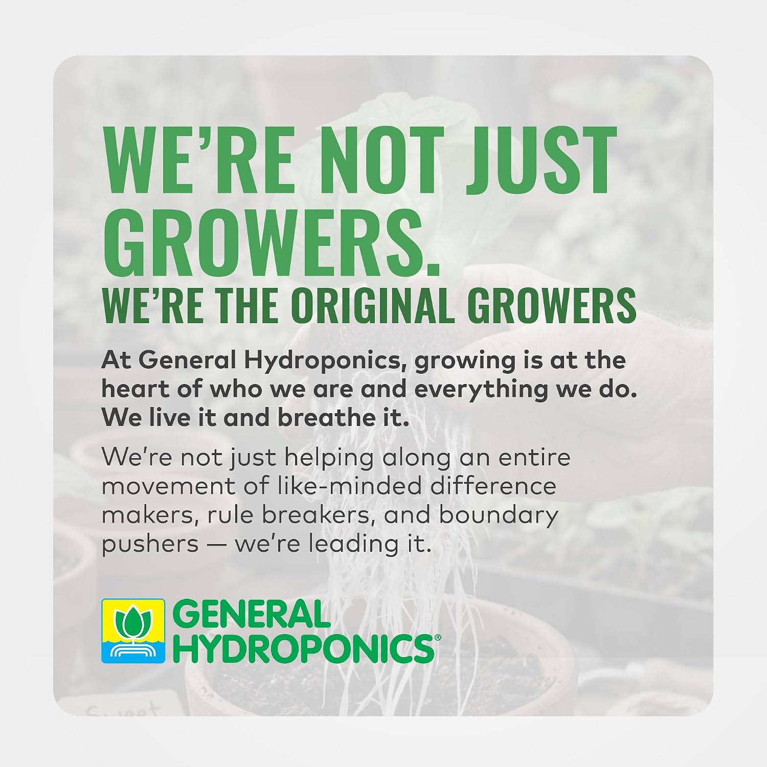General Hydroponics FloraMicro, 1 Quart