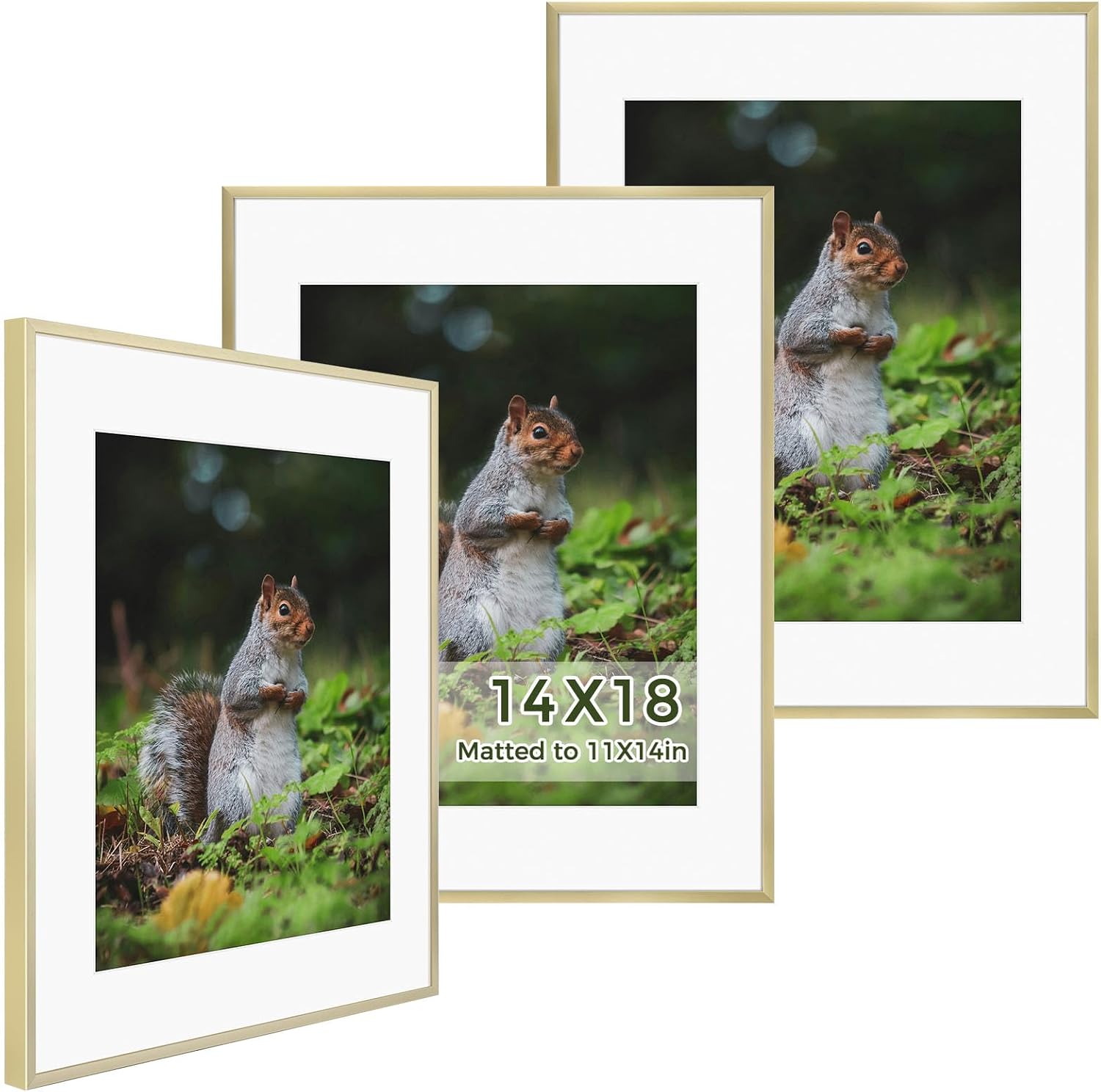 Golden State Art 3 Pack 12x12 Black Aluminum Frames, Real Glass Fronts