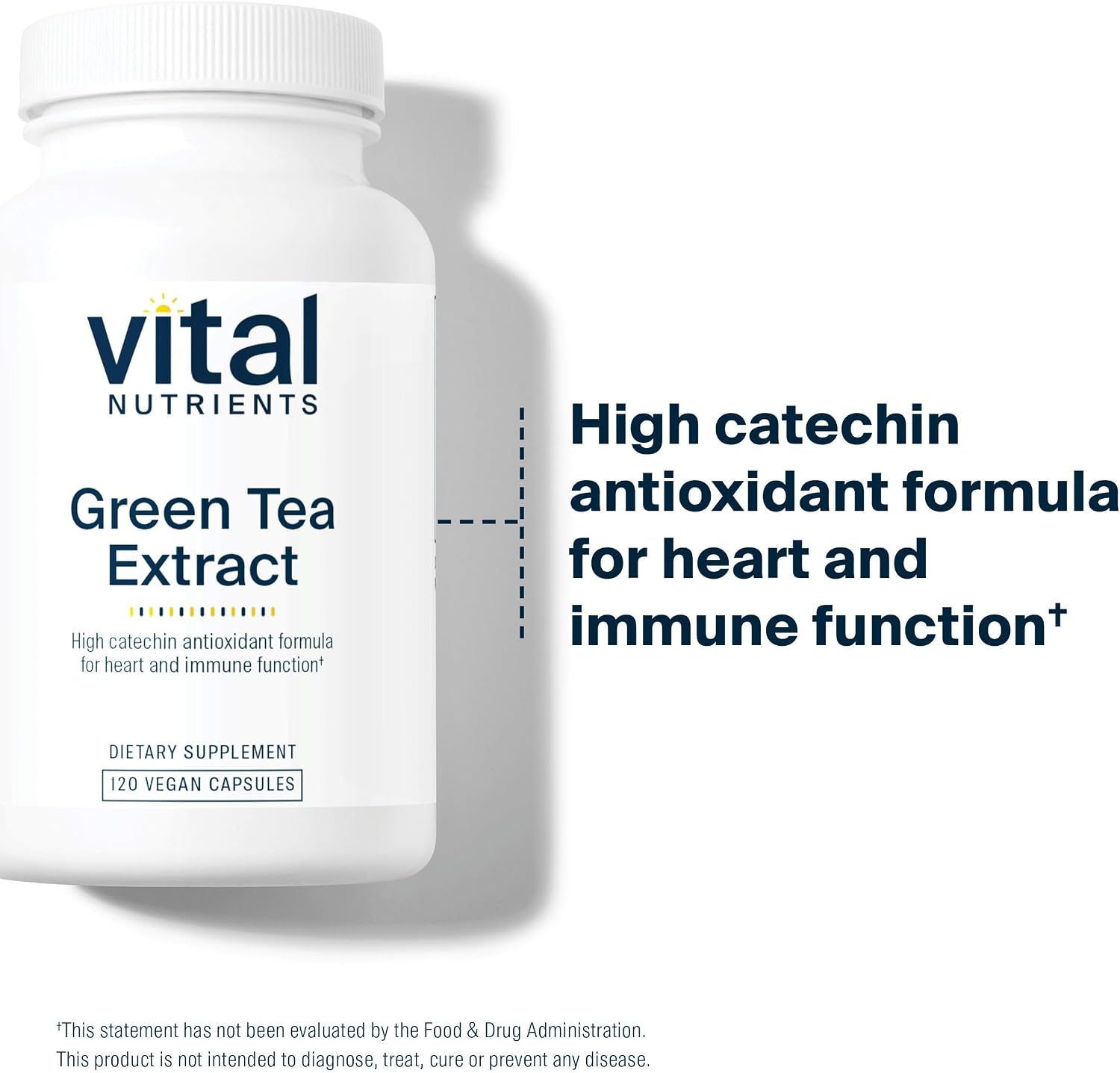 Vital Nutrients Green Tea Extract 550mg - Potent Antioxidant for Heart & Immune Health* - Polyphenols Supplement with EGCG - Gluten, Dairy