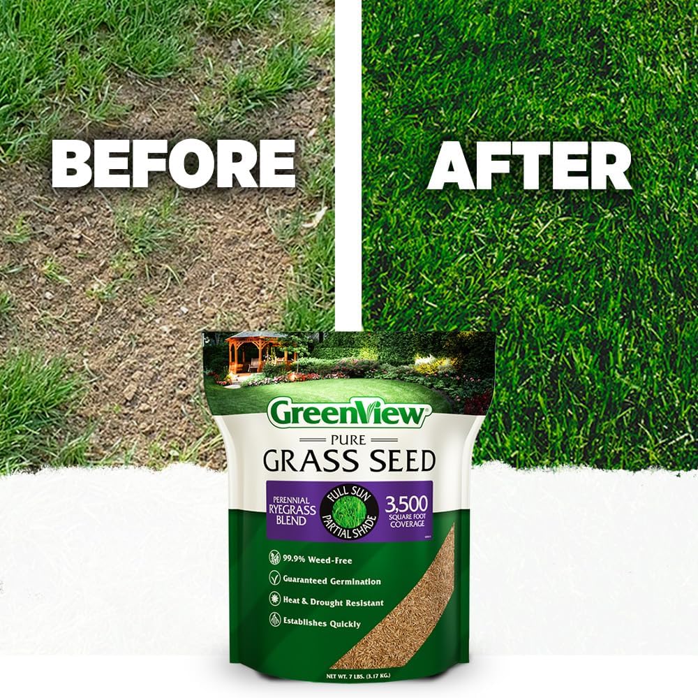 GreenView Pure Grass Seed Perennial Ryegrass Blend, 20 lb. Bag | Covers up to 10