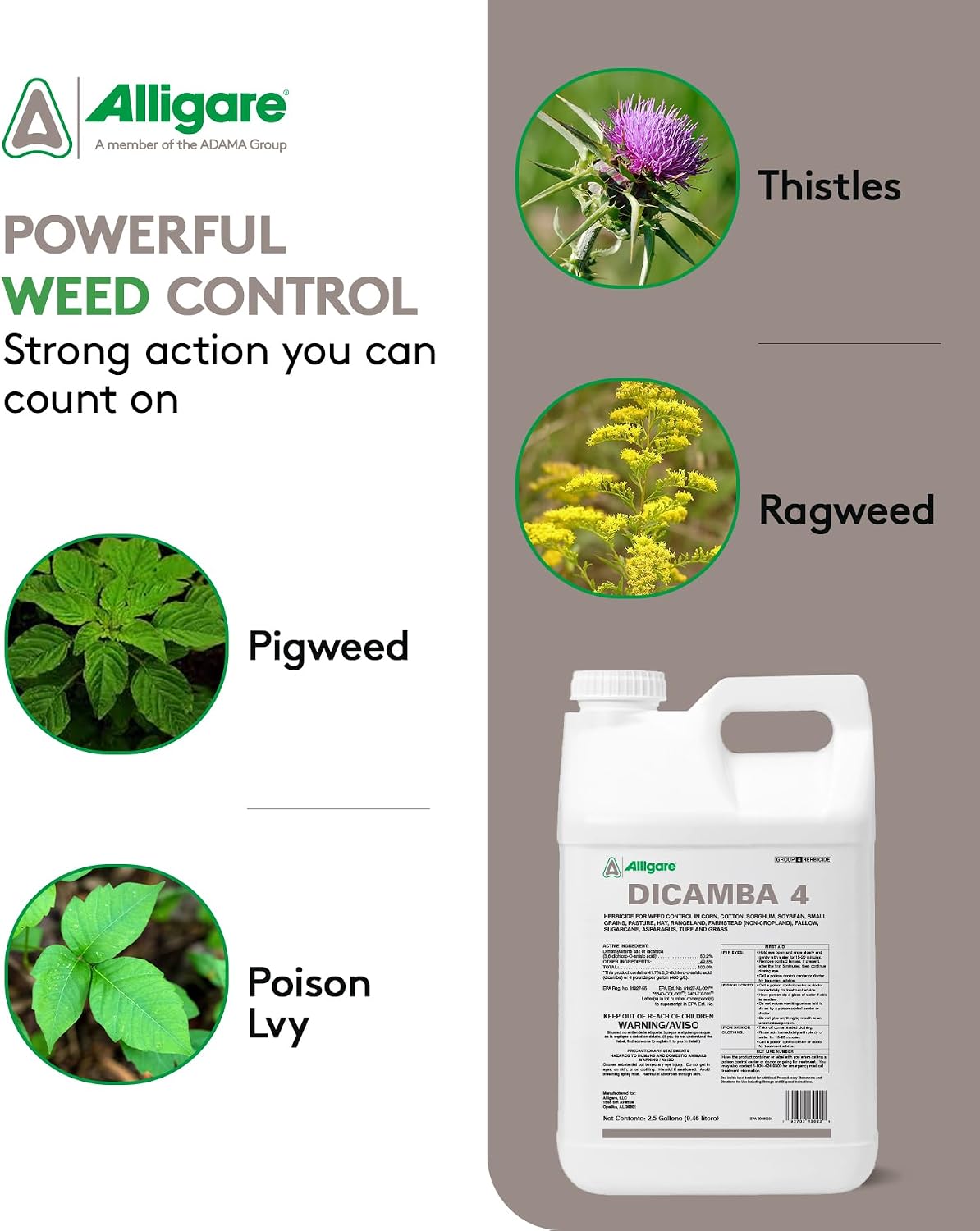 Alligare Dicamba 4 for Corn, Soybean, Cotton, Sugarcane, Turf & More - Powerful Weed Control - Water-Soluble Dicamba Herbicide