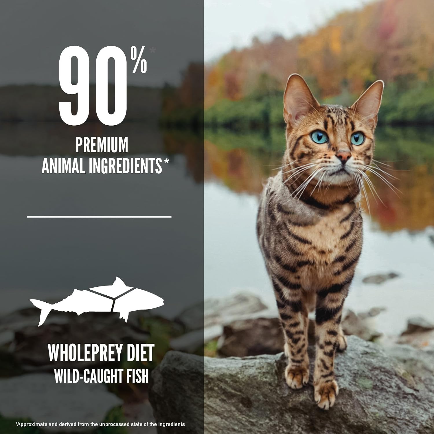 ORIJEN Grain Free WHOLEPREY Dry Cat Food Original Recipe 4lb. Bag | 90% Animal Ingredients, Freeze Dried, Fresh or Raw Ingredients, High Protein, Heart Health, Free-Run Poultry