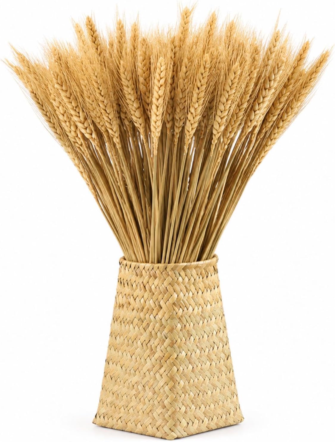Yarlung 300 Stems Dried Wheat Stalks, 16 Inch Natural Wheat Sheaves Fall Arrangement for DIY Craft, Home Table, Wedding Decor