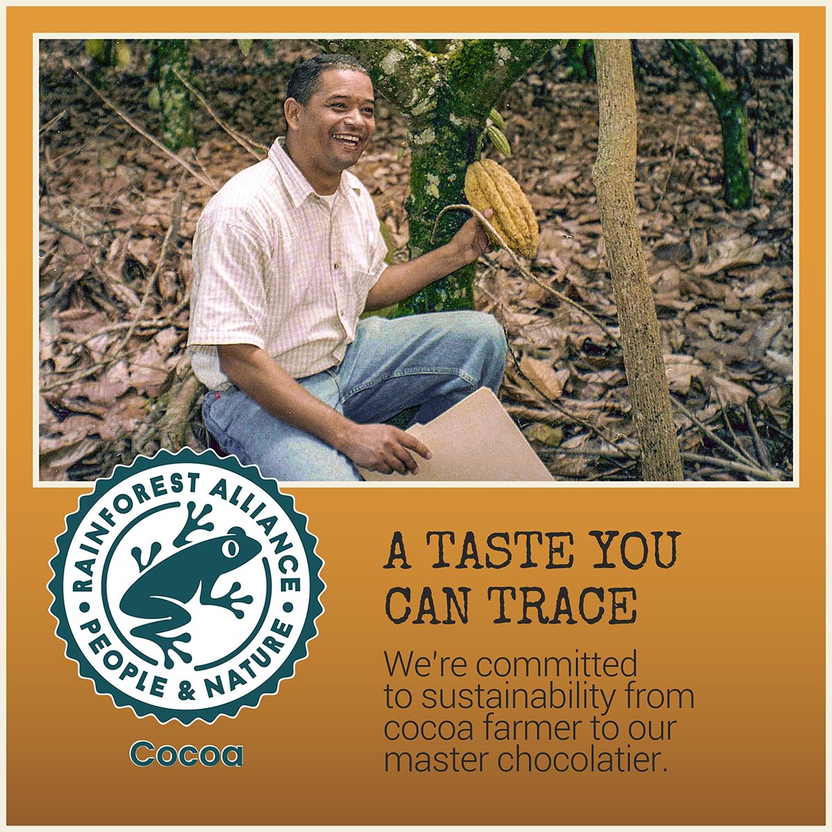 Chocolove Salted Caramel Chocolate Bars | 55% Cocoa | Silky Caramel with a Hint of Salt | Made with Premium Chocolate | Non-GMO, & Gluten-Free, 3.2 oz Bar (10 Pack)