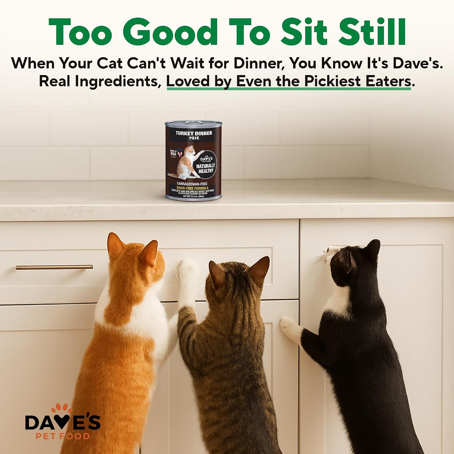 Dave's Pet Food Grain Free Wet Canned Cat Food Pate, Chicken, 12.5 oz, 12pk | Made in USA, Naturally Healthy, Easy to Digest Wheat & Gluten-Free, Use as Topper or Meal, Carrageenan-Free