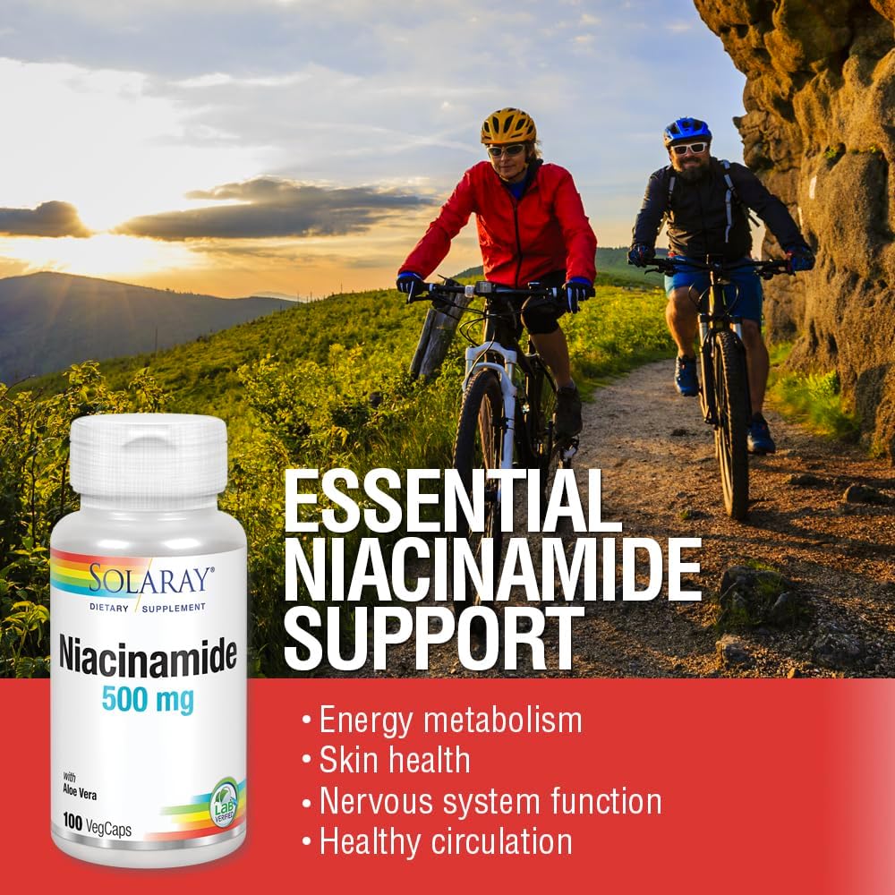 SOLARAY Niacinamide 500 mg | Vitamin B-3 | Energy Metabolism, Circulation, Nerve & Skin Health Support, 100 CT | Niacinamide Supplement
