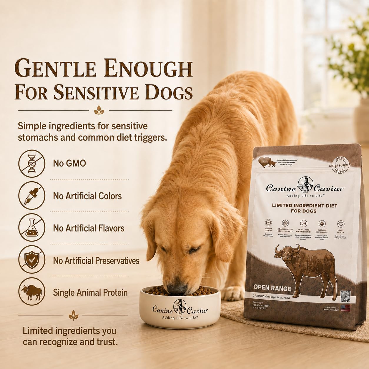 Canine Caviar - Open Range: Water Buffalo & Chickpea Alkaline Dry Dog Food, Limited Ingredients, Gluten-Free, Based on Science & Research, Veterinary Alternative Diet (22 Pound Bag)