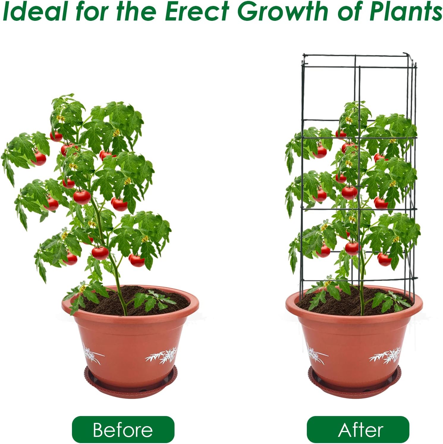 S AFSTAR 4 Pack Folding Tomato Cages, 39 Inches Tall Square Plant Support Cage for Garden Climbing Plants Flowers Fruits
