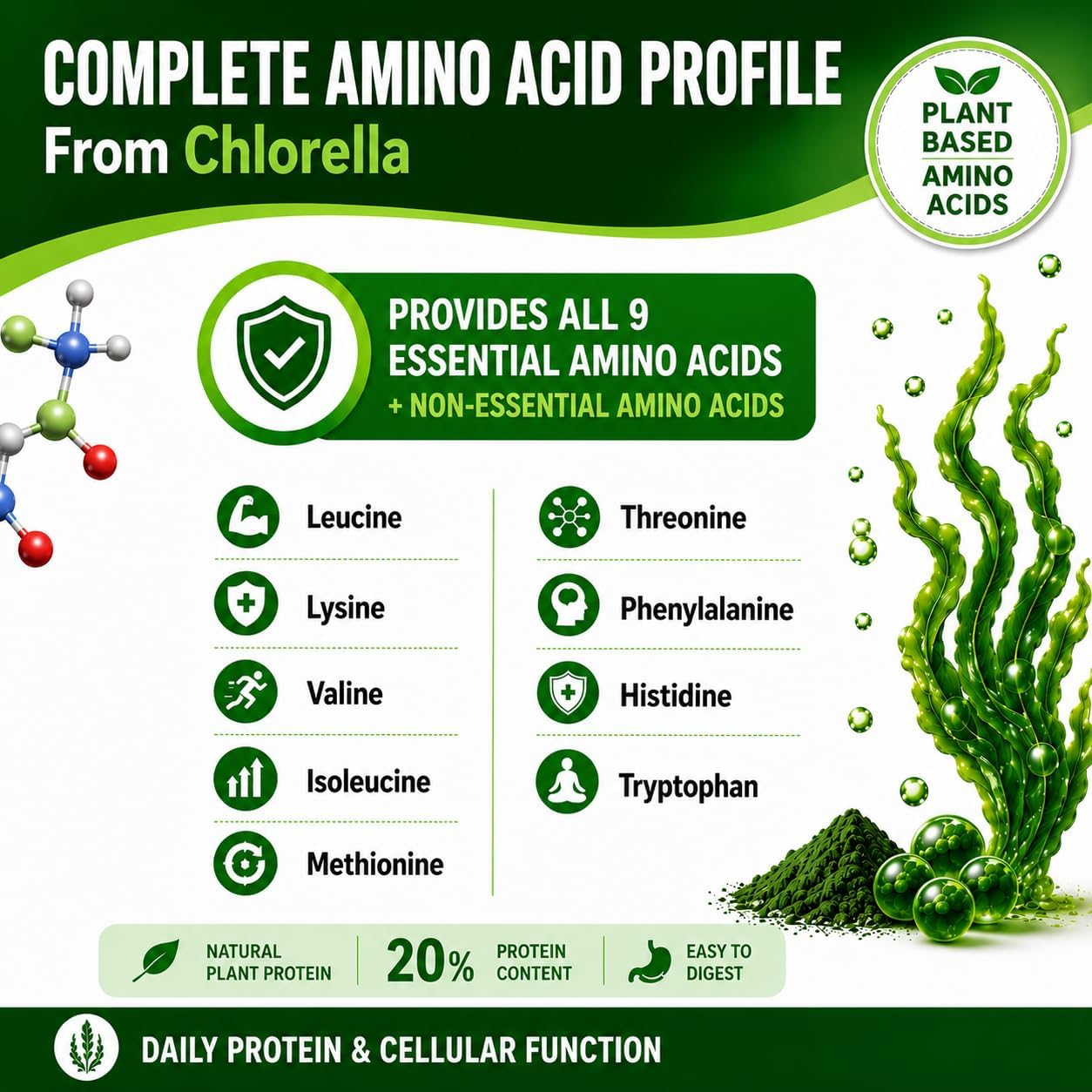 Chlorella Capsules 3000 mg - Cracked Cell Wall Blue Green Algae Supplement - Best Natural Detox Cleanse - Plant Vitamins Minerals Chlorophyll Vegan