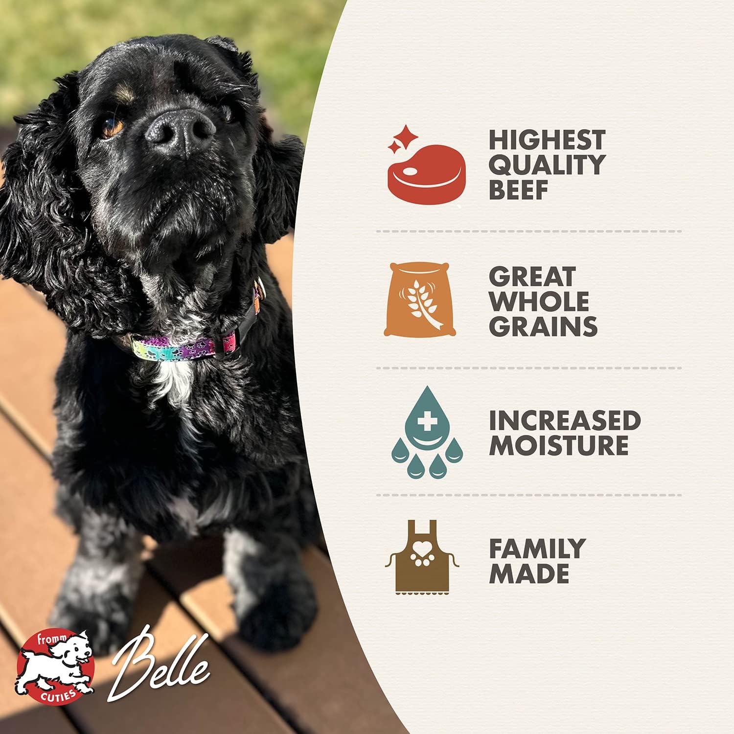 Fromm Venison & Lentil Pate Dog Food - Premium Wet Dog Food - Venison Recipe - Case of 12 Cans