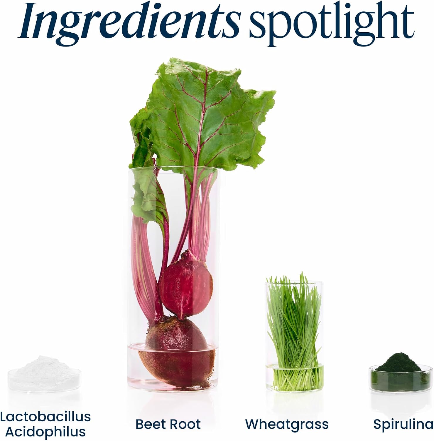 Vibrant Health, Green Vibrance, Includes 65 Plant-Based Superfoods, 25 Billion Probiotics, Fiber, Adaptogens & Enzymes, 30 Servings