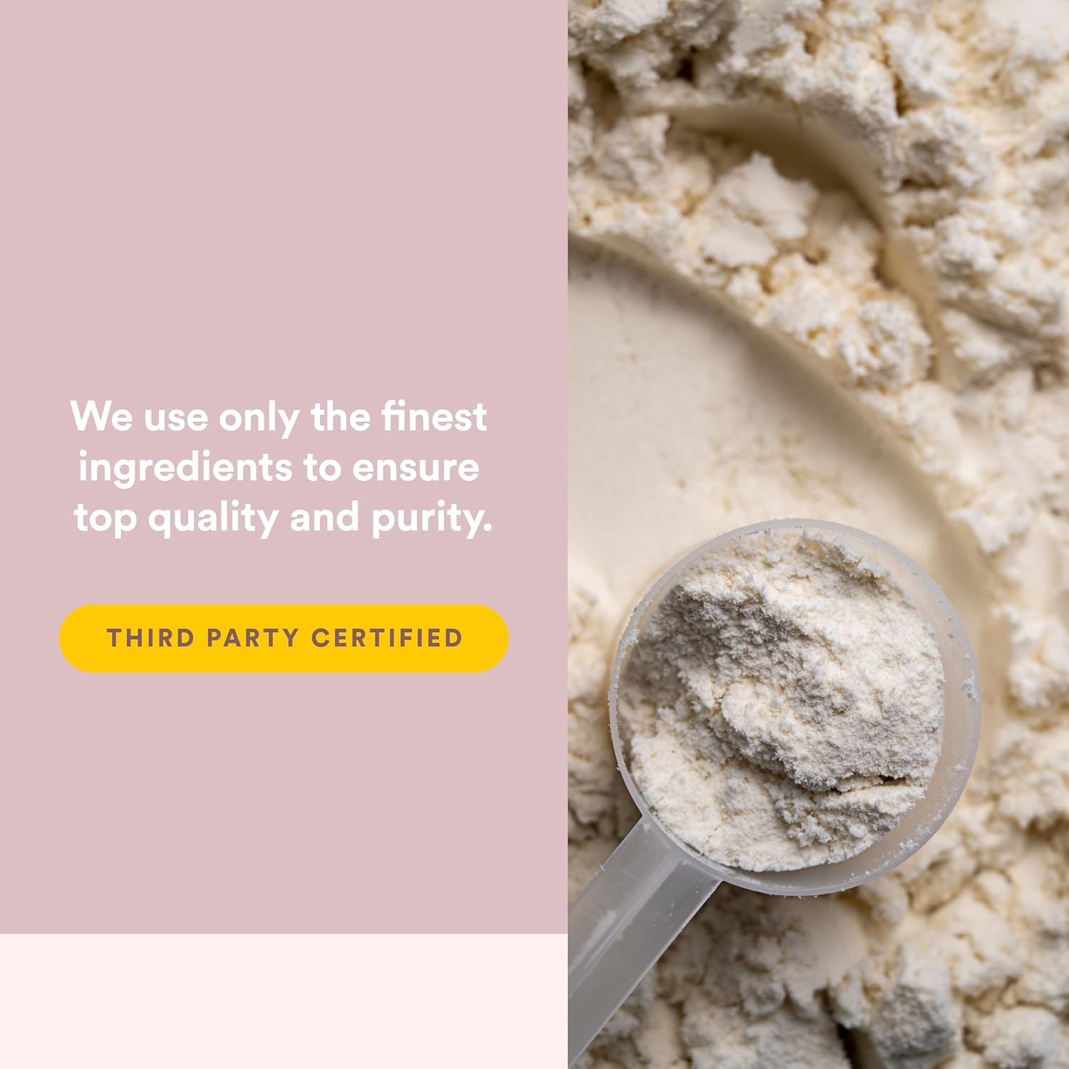 Whey Factors by Natural Factors, Grass Fed Whey Protein Concentrate, Aids Muscle Development and Immune Health, Unflavored, 2 lb