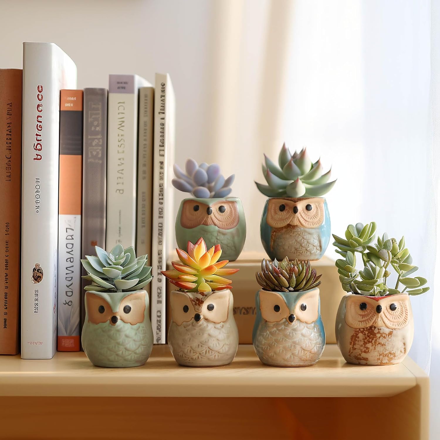 T4U Mini Succulent Ceramic Pots for Gifts, Small Planters for Decor 6 Pack | Planters with Drainage, for live cactus plants, bonsai tree starter pots, indoor windowsill decor, office desk accents