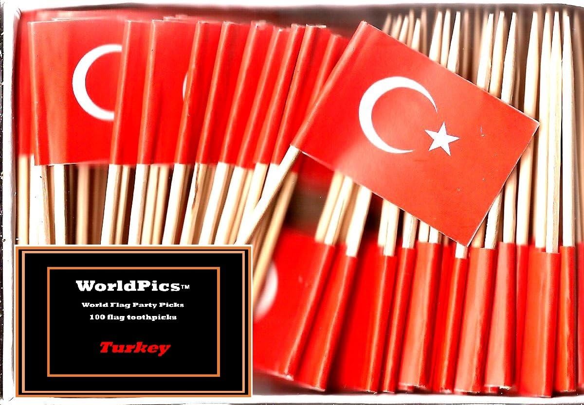 One Box of 100 Nicaragua Toothpick Flags, 100 Small Mini International Flag Cupcake Toothpicks or Cocktail Picks