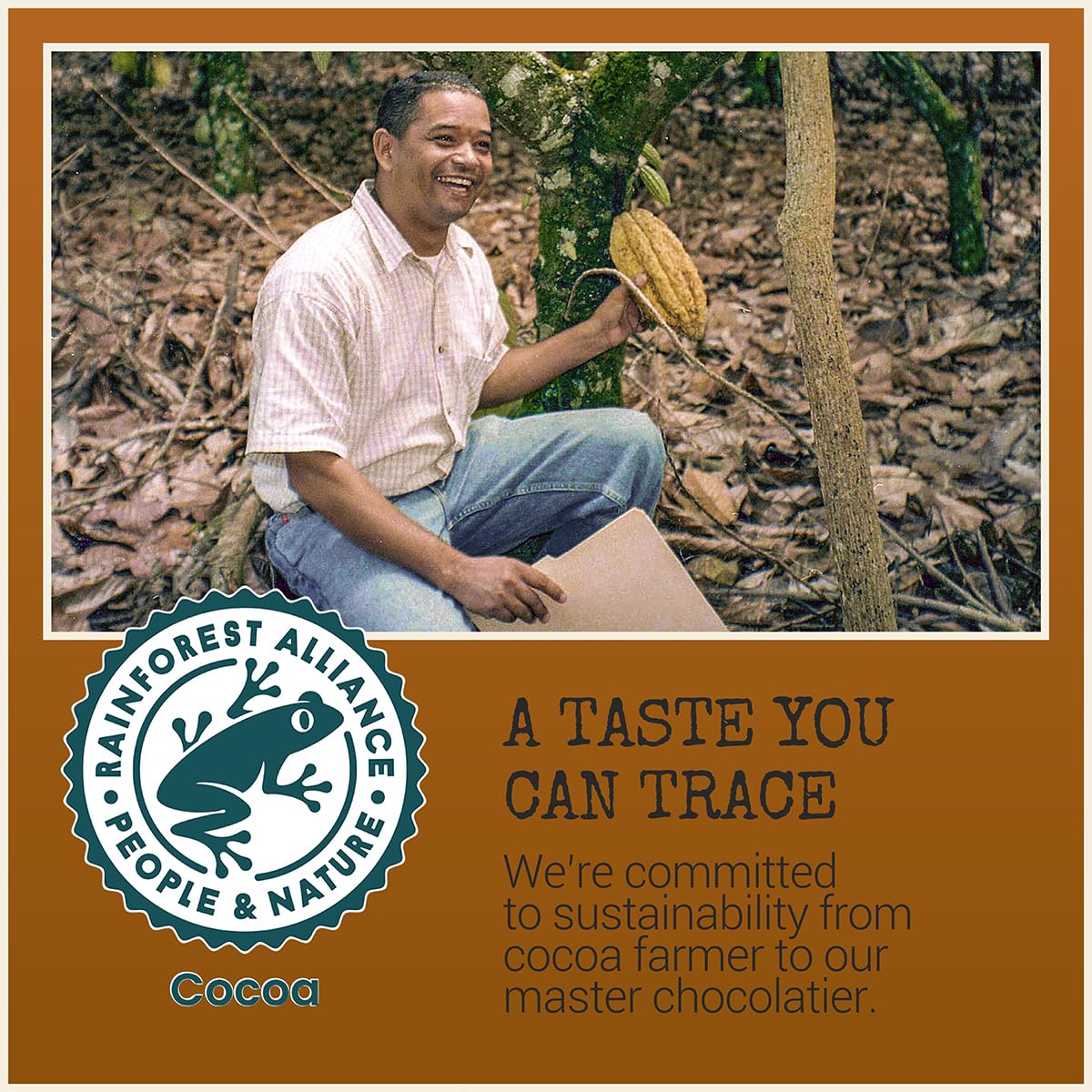 Chocolove Creamy Milk Chocolate Bars | 33% Cocoa | Crafted with Silky Premium Chocolate | Non-GMO, & Gluten-Free, 3.2 oz Bar (12 Pack)