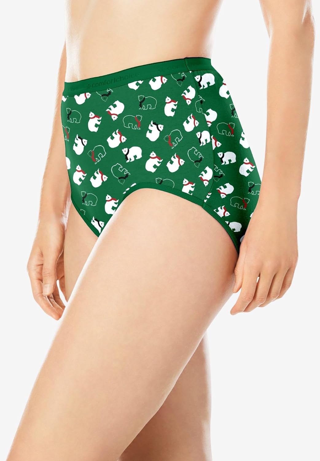 Comfort Choice Full Coverage Cotton Brief 10-Pack
