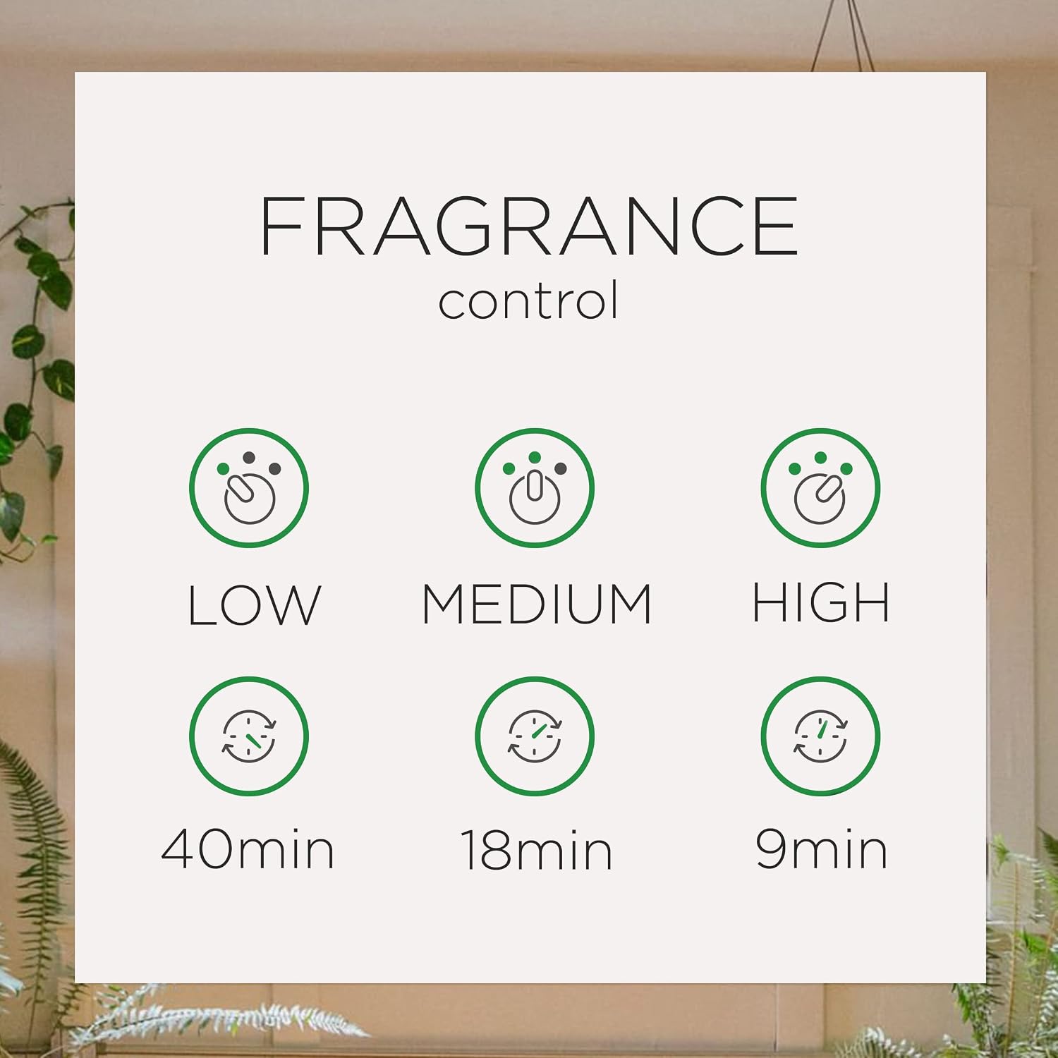 Air Wick Automatic Air Freshener Spray Refill, 2ct, Summer Delights, Odor Neutralization, Essential Oils