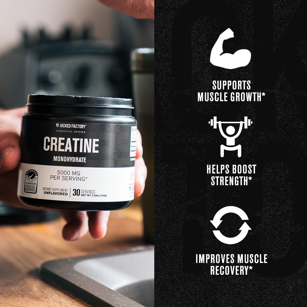 Jacked Factory Creatine Monohydrate Powder 425g - 5g Daily Micronized Creatine Monohydrate for Men and Women, Vegan-Friendly