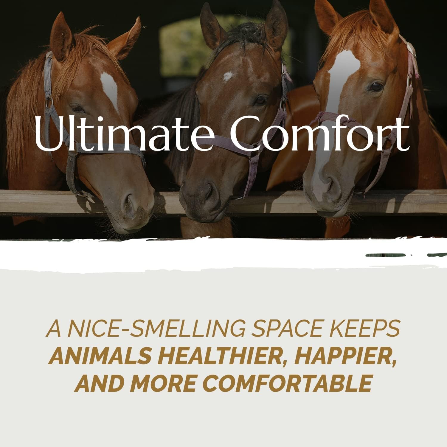 Aubiose French Hemp Bedding 44lb — Chicken Coop & Horse Stall Bedding | Ultra Low Dust, Odor Control