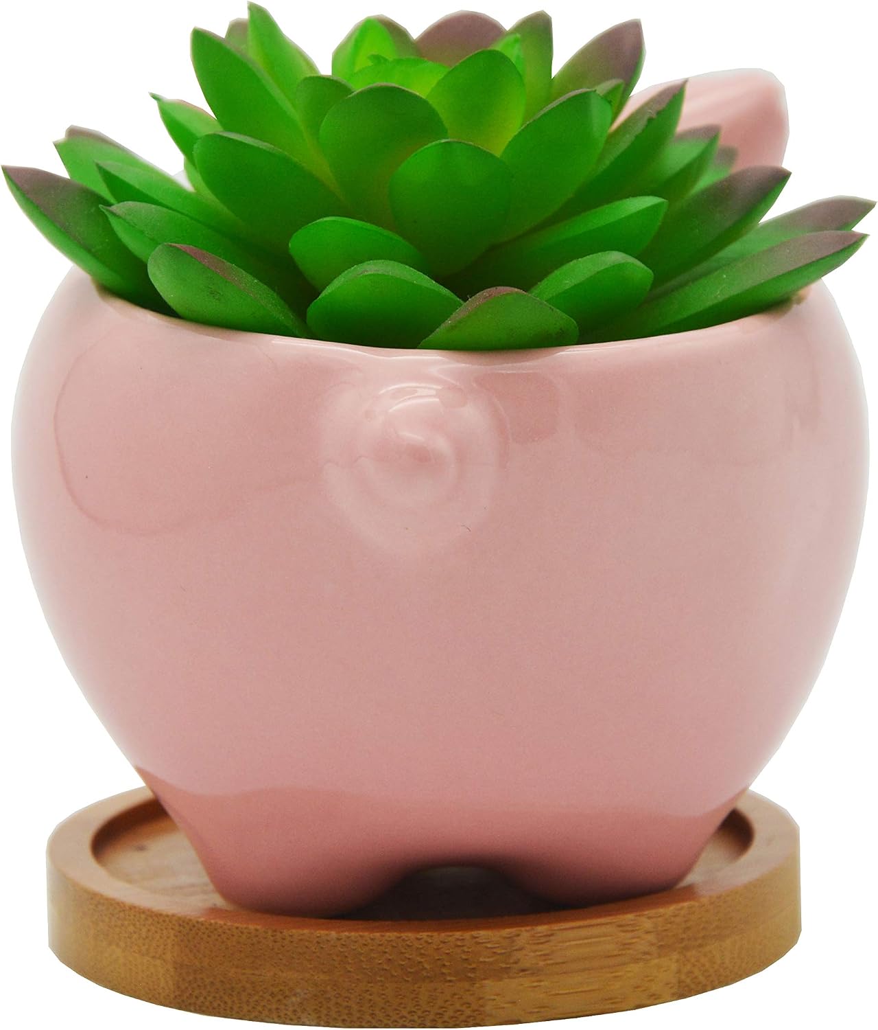 Cuteforyou Succulent Pots,Cute Animal Shaped Cartoon Ceramic Succulent Cactus Flower Planters -Plant Not Included，Cat