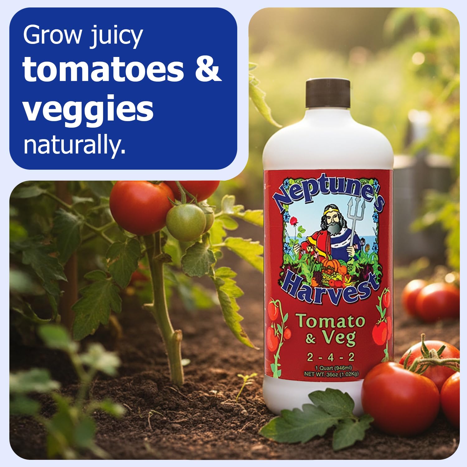 Neptune’s Harvest Organic Tomato & Vegetable Plant Fertilizer (2-4-2) - Liquid Plant Food w/Fresh Fish, Seaweed, Molasses, Yucca Extract, & Humic Acids - for Vegetable Garden (Gallon)