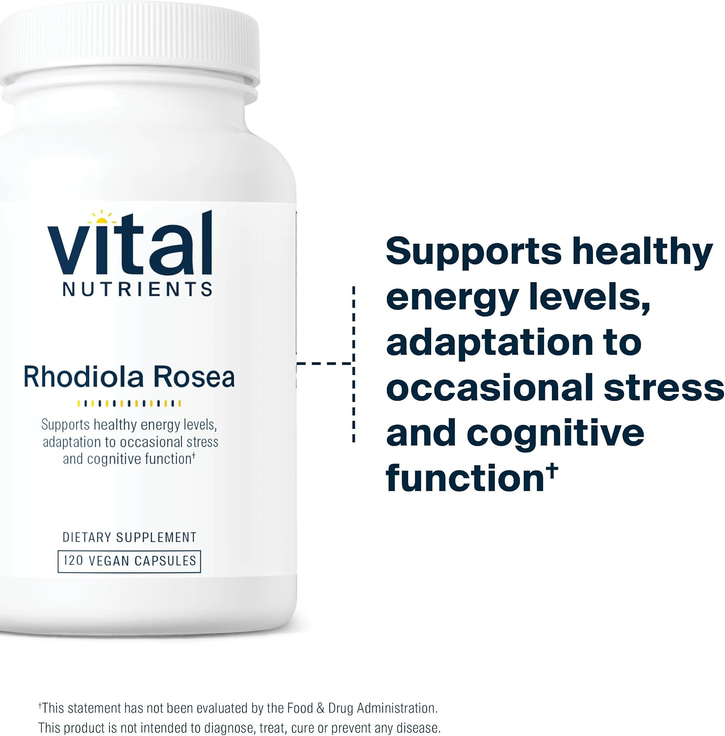 Vital Nutrients Rhodiola Rosea - Rhodiola Supplement for Healthy Energy, Memory, and Stress Support - Gluten, Dairy, Soy Free - Non-GMO - 60 Capsules