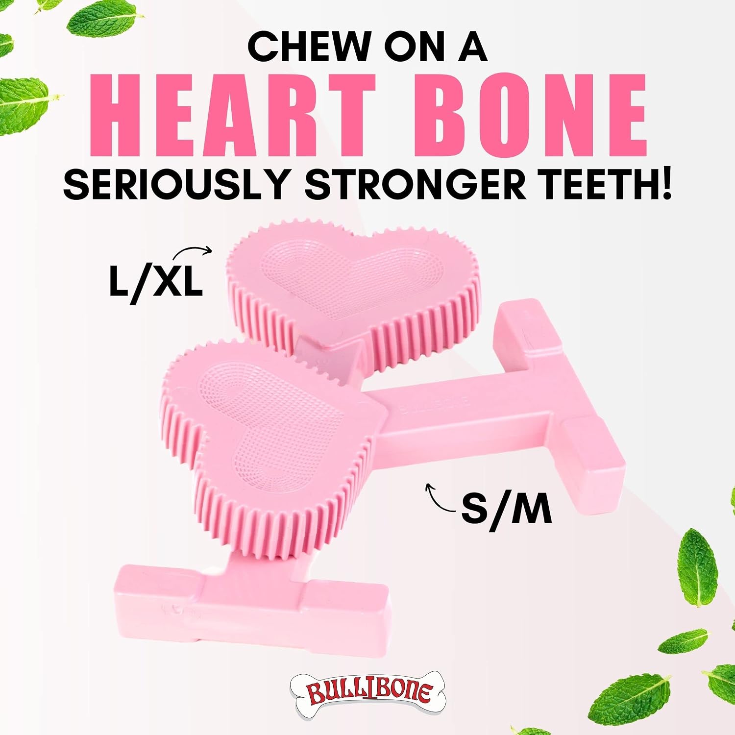 Bullibone Nylon Dog Chew Toy for Aggressive Chewers - Dental Hygiene Bone with Beef Flavor, Durable Tough Chew Toys for Small Dogs, Indestructible Dog Bone - 3 Pack