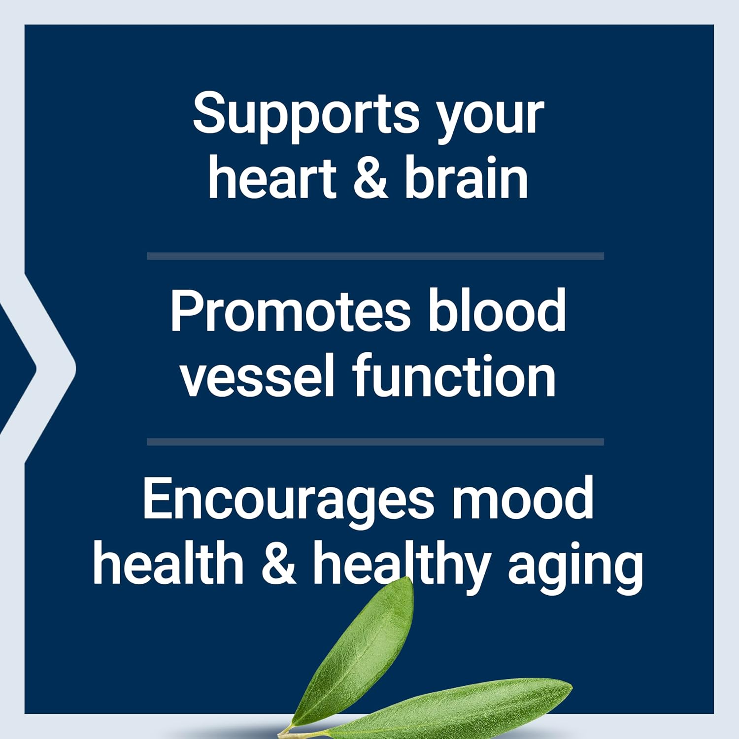 Life Extension Super Omega-3 EPA/DHA Fish Oil, Sesame Lignans & Olive Extract – Heart Health, Brain Health, Inflammation Health Support, Gluten-Free, Easy to Swallow, Non-GMO, 240 Softgels