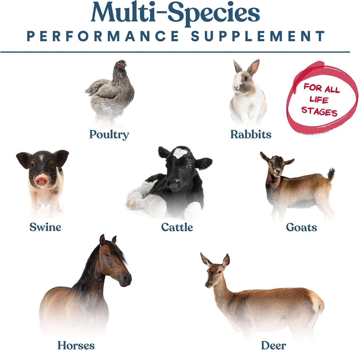 Manna Pro Calf-Manna Multi-Species Performance Supplement, 10 lb Bag | High-Protein Performance Supplement, Supports Growth & Weight Gain