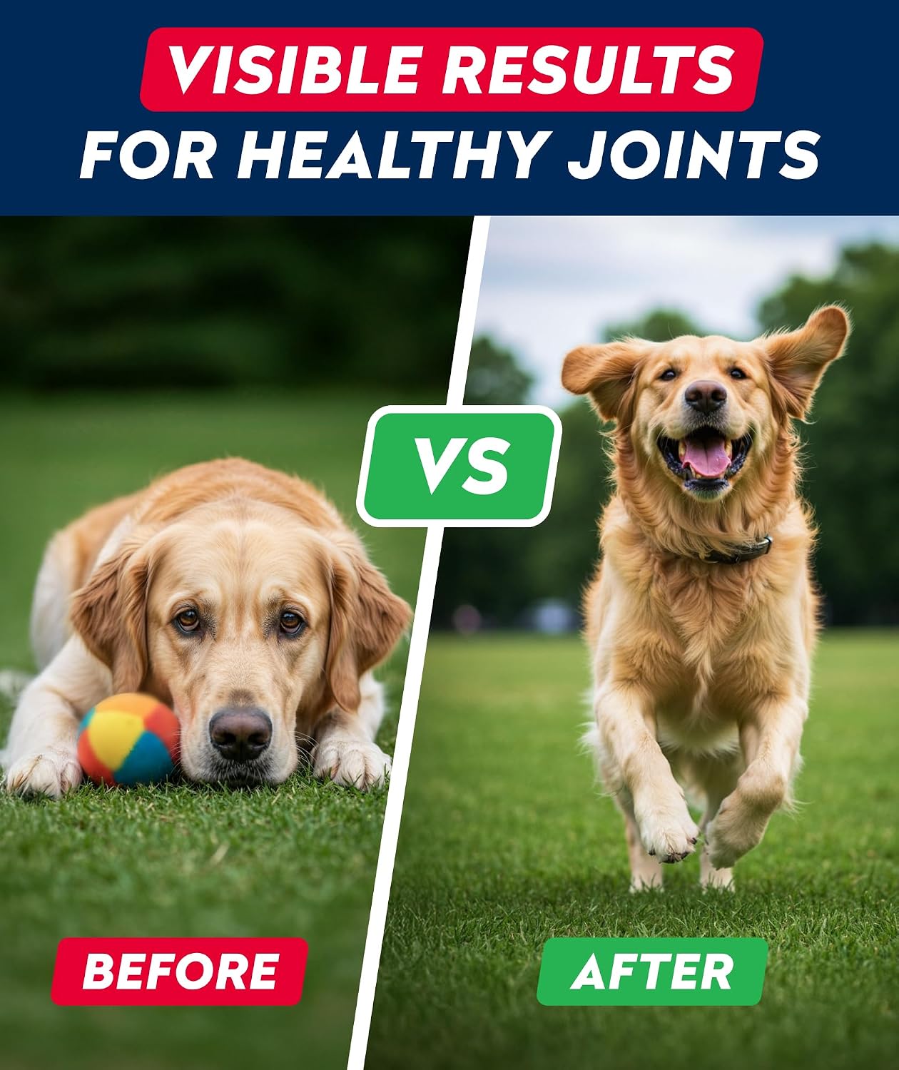Advanced Glucosamine for Dogs, Chondroitin & MSM Hip Joint Supplement Chews
