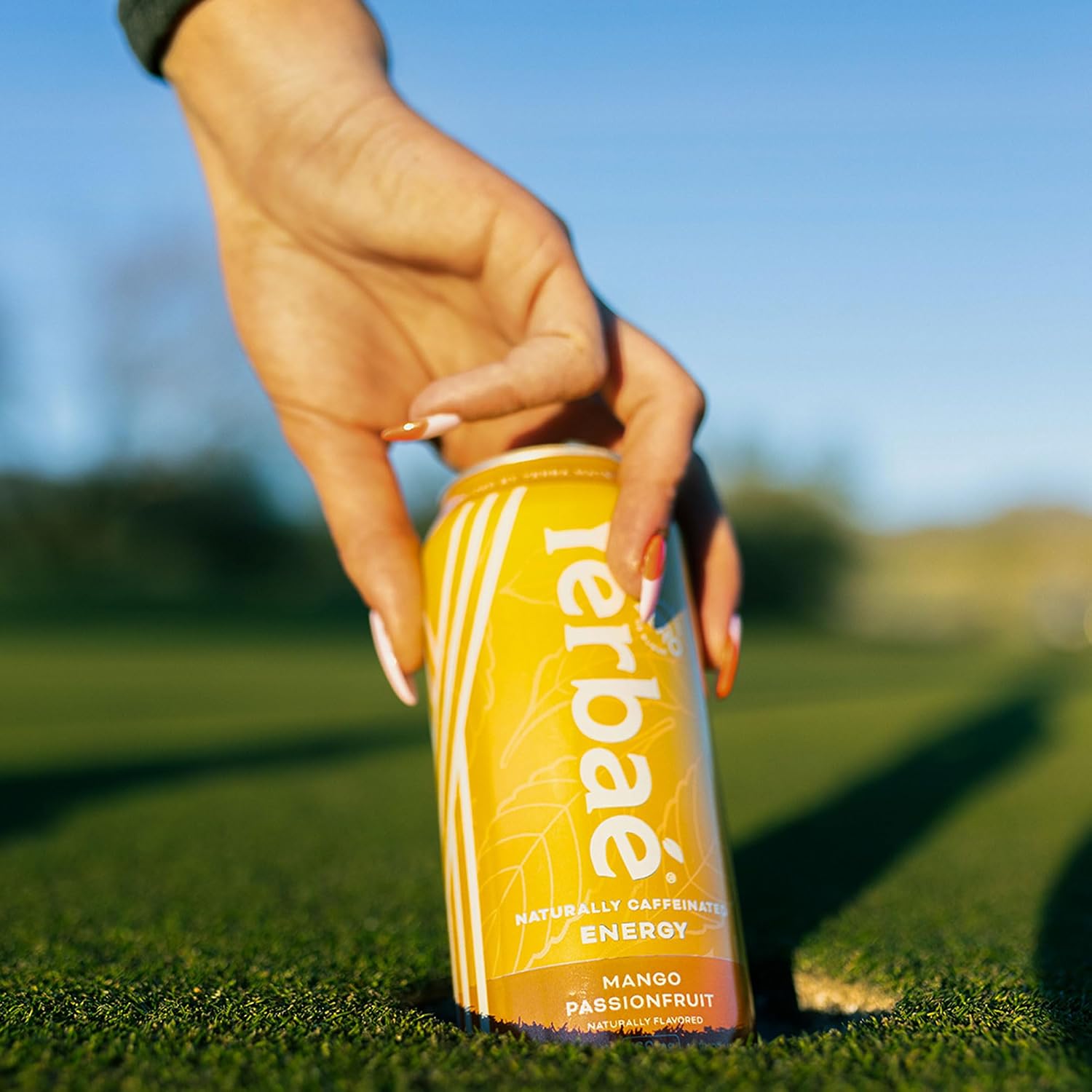 Yerbaé Energy Seltzer - Variety Performance Pack. No Sugar/Calories/Carbs. Energized by Yerba Mate Naturally Caffeinated Plant-Based, Healthy Alternative to Coffee/Sugary Sodas, Pack of 12, 12oz cans