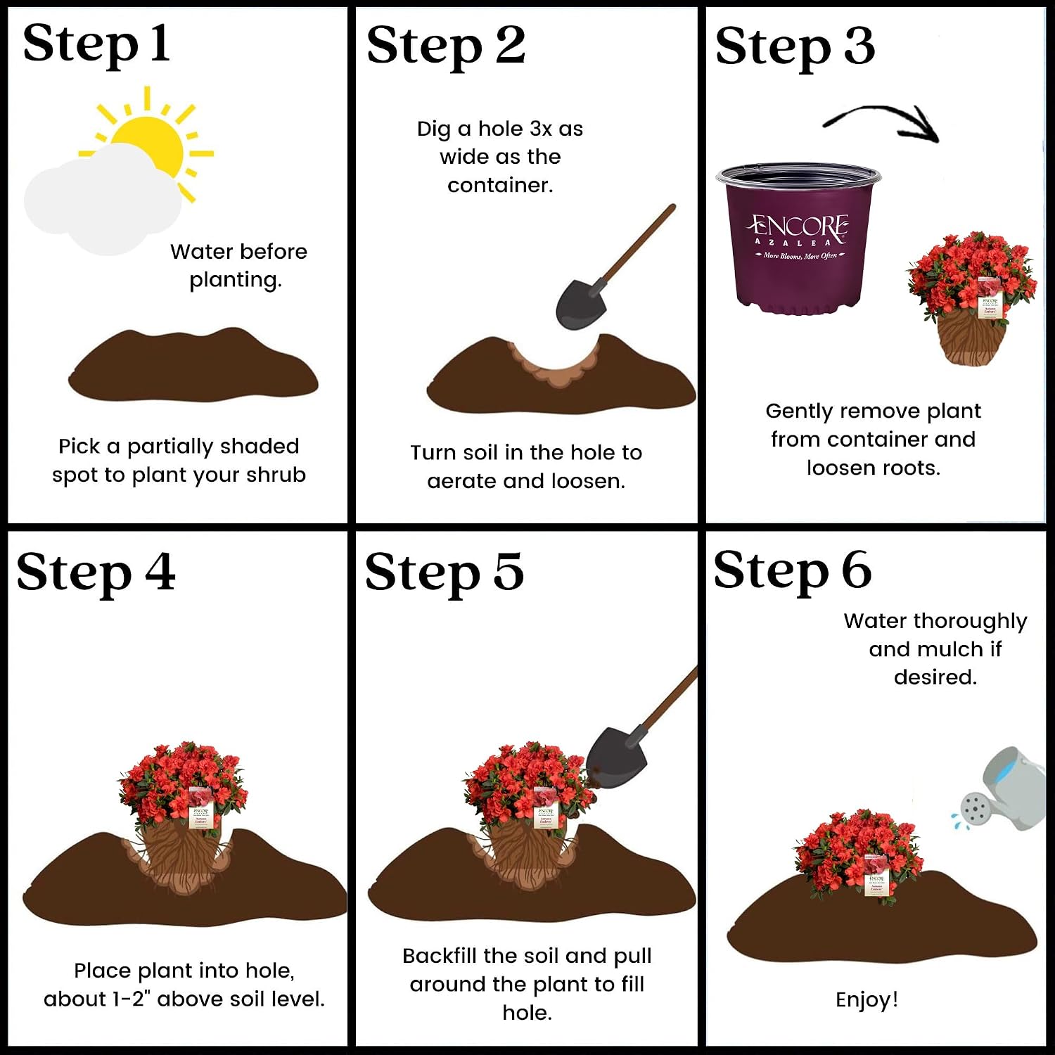 Encore Azalea Embers Azalea, 2 Gal, Red