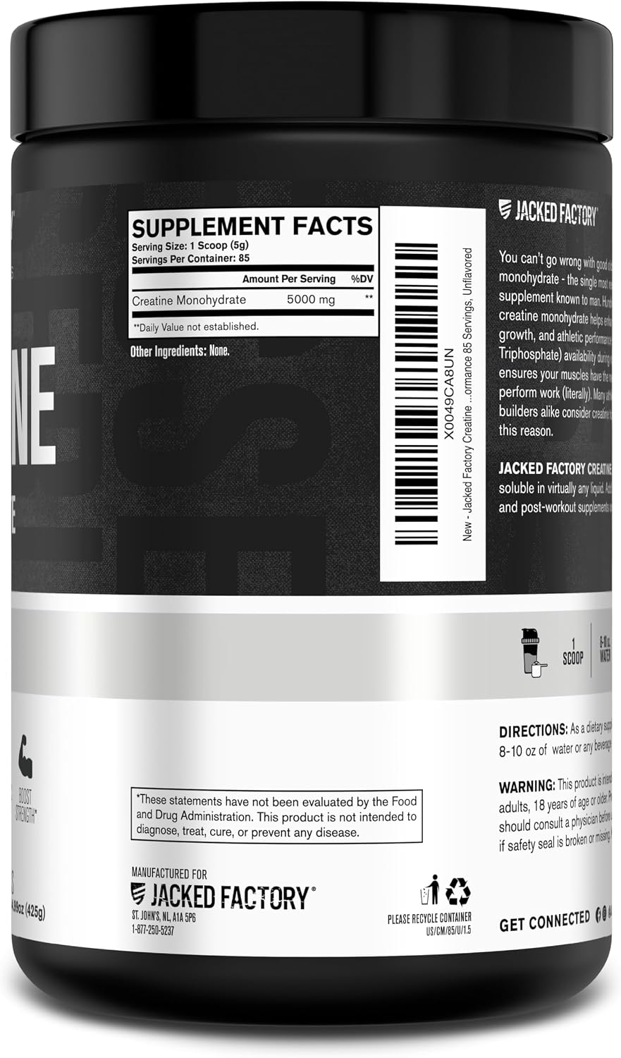 Jacked Factory Creatine Monohydrate Powder 425g - 5g Daily Micronized Creatine Monohydrate for Men and Women, Vegan-Friendly