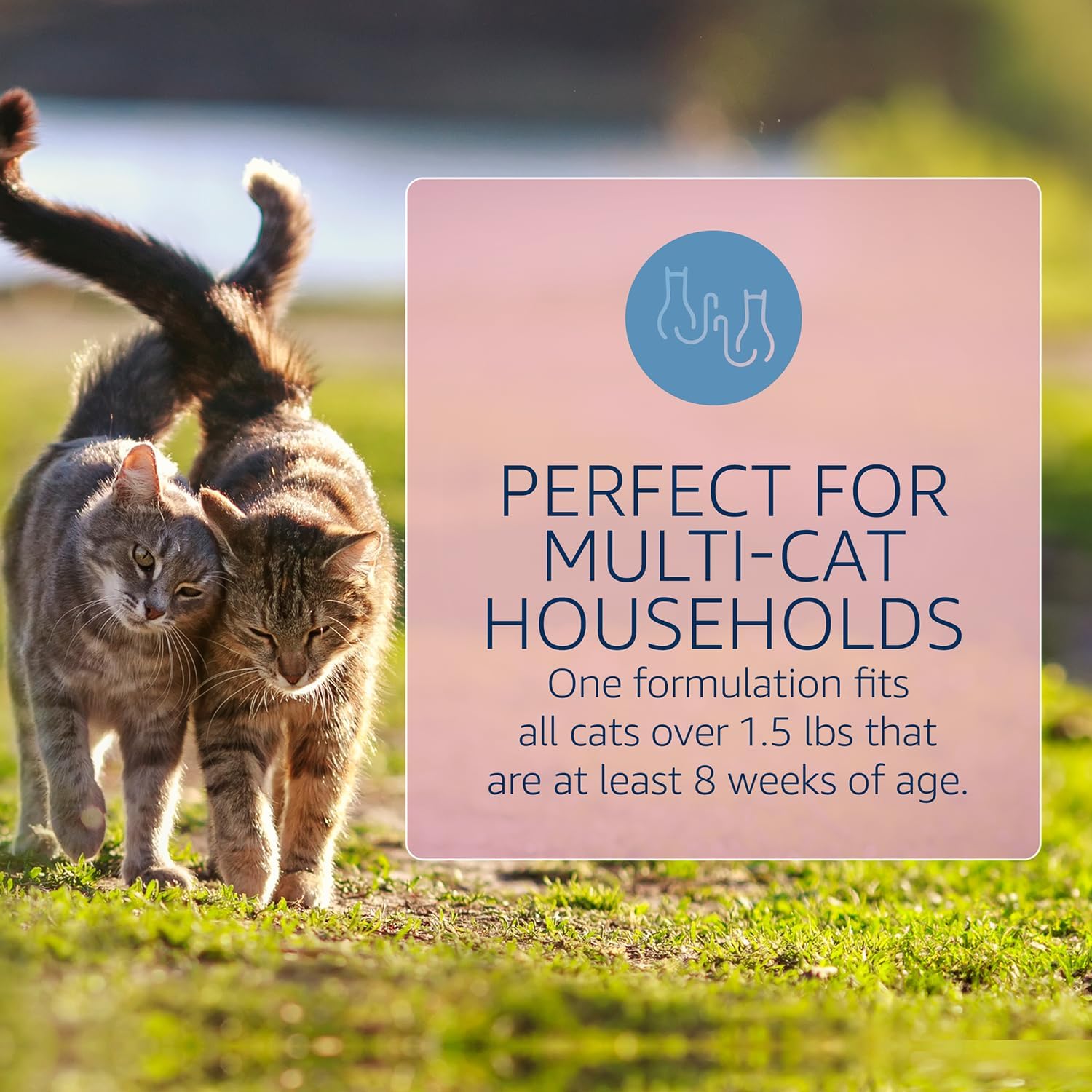 Catego Flea and Tick Prevention for Cats - Over 1.5 lbs, 3 Month Supply | No Prescription Required, Cat Flea Treatment Topical Drops, Fast Acting Flea & Tick Control Drops, Easy to Apply