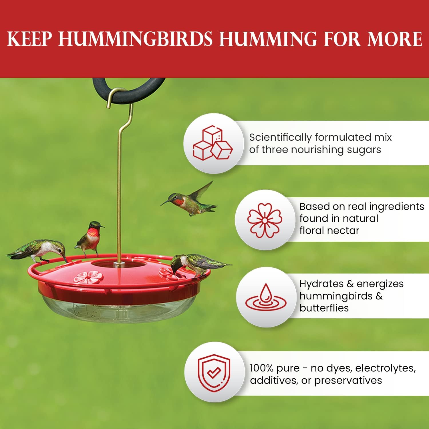 Hummingbird Nectar - All Natural Powder - Hydrating & Energizing, 5 lbs/80 oz. Makes 320 ozs