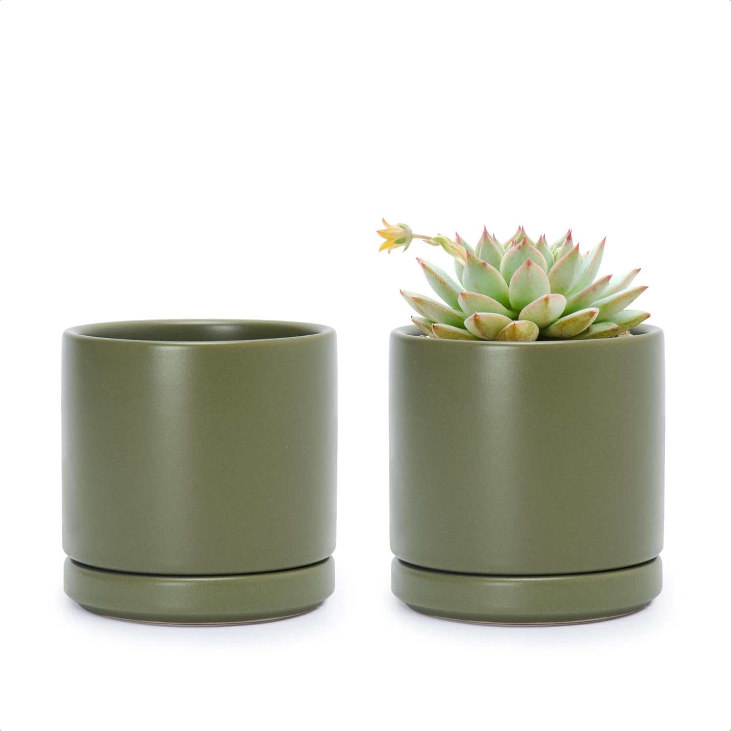 D'vine Dev 2-Pack Ceramic Pots with Saucers, White/Grey, 4.7 in, 94-V-B-6