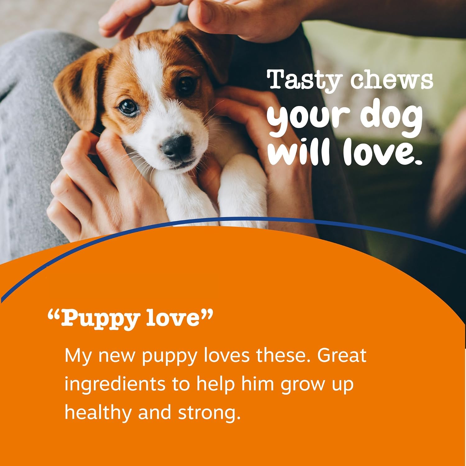 Zesty Paws Dog Multivitamin, Chewable Dog Vitamins and Supplements for Hip & Joints, Skin & Coat, Omega 3 Fish Oil for Dogs- Senior & Puppy Multivitamin- Chicken- 90ct