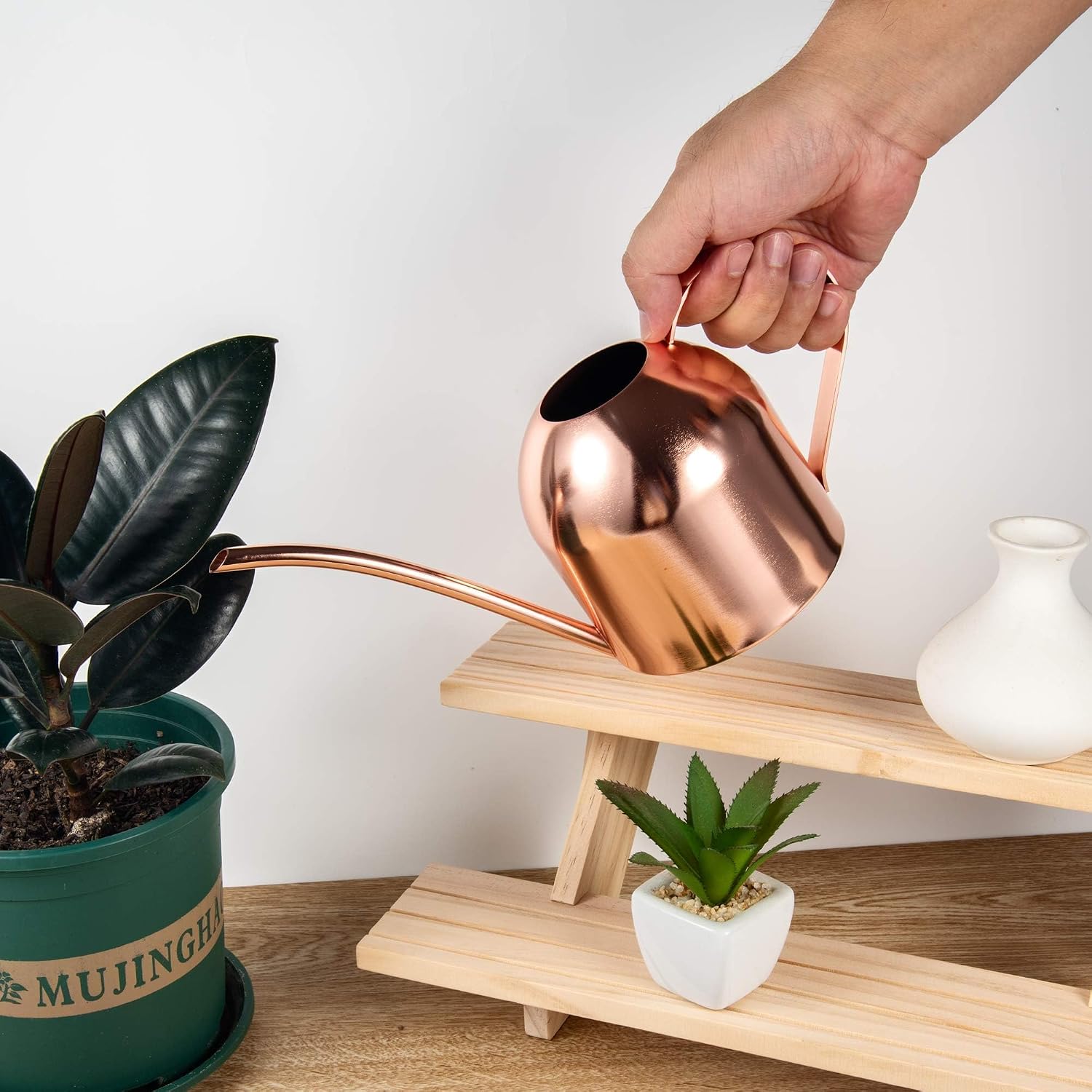 IMEEA Indoor Watering Can for House Plants 33oz/1L Brushed Stainless Steel Watering Can with Long Spout for Succulents, Bonsai