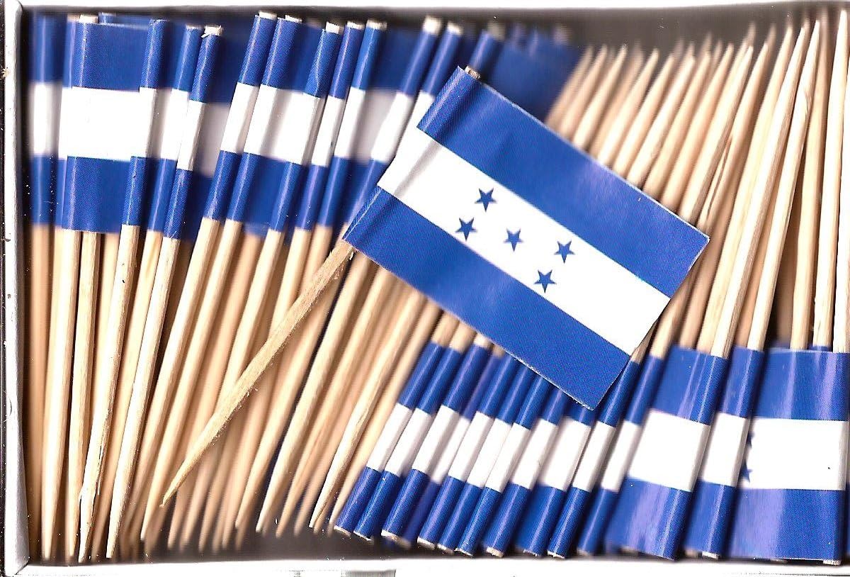 One Box of 100 Nicaragua Toothpick Flags, 100 Small Mini International Flag Cupcake Toothpicks or Cocktail Picks
