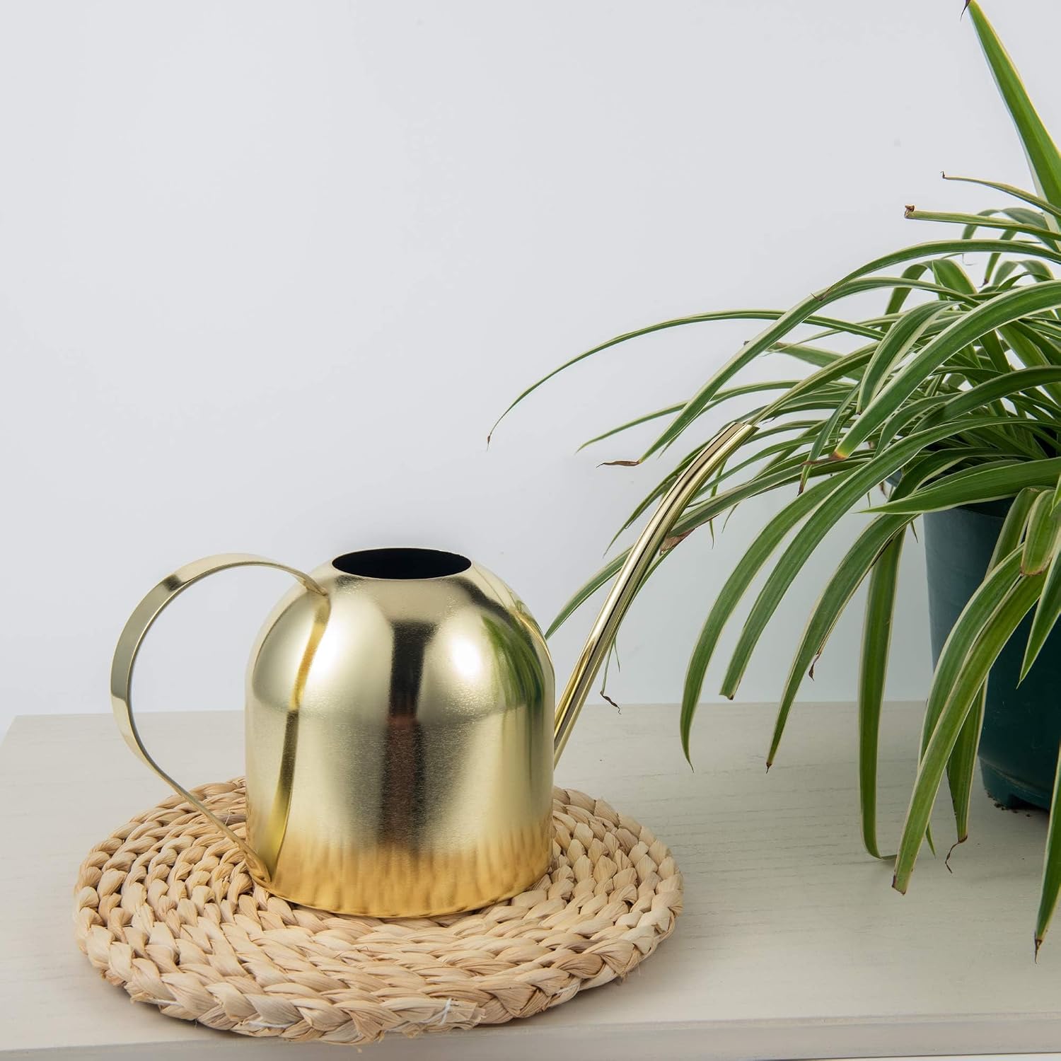 IMEEA Indoor Watering Can for House Plants 33oz/1L Brushed Stainless Steel Watering Can with Long Spout for Succulents, Bonsai